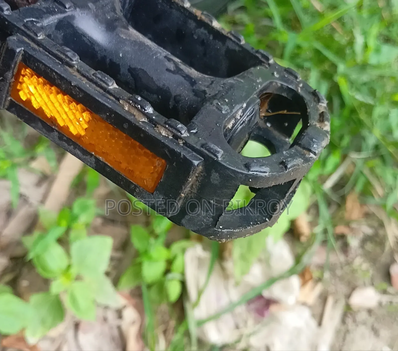 Non-Gear Bicycle