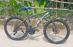 Gear bicycle