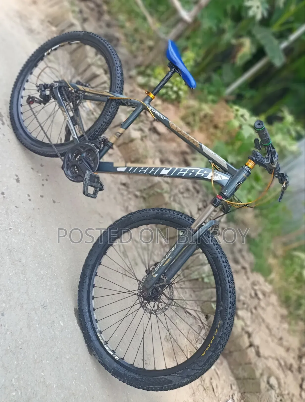 Gear bicycle
