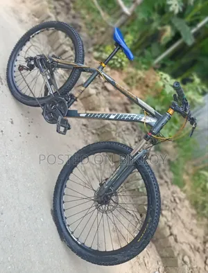 Gear bicycle