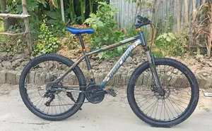Gear bicycle