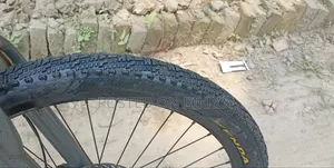 Gear bicycle