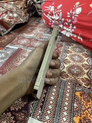 অ্যাপল আইফোন ১২ প্রো ১২৮ জিবি গোল্ড