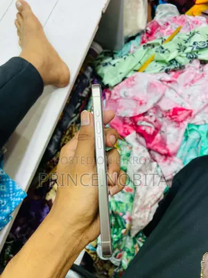 অ্যাপল আইফোন ১৫ প্রো ম্যাক্স ২৫৬ জিবি সিলভার