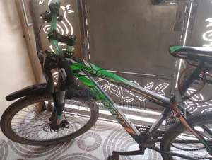 Phoenix Tornado Bicycle!