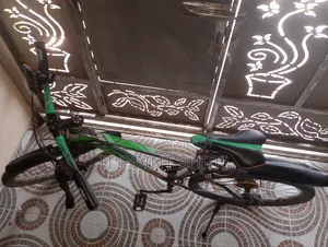 Phoenix Tornado Bicycle!