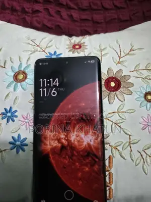 Xiaomi 13 Pro 256 GB Gray