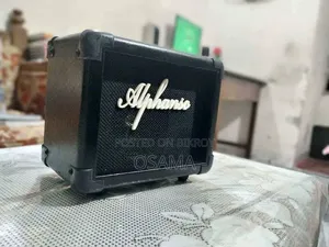 কাস্টম গিটার+ অ্যাম্প (Alphanso Rock 10)
