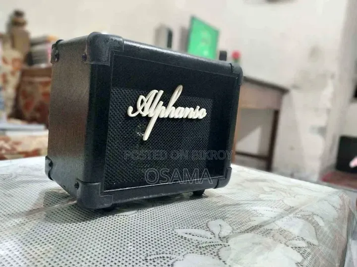 কাস্টম গিটার+ অ্যাম্প (Alphanso Rock 10)
