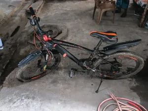 Gear Cycle 24"