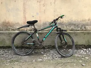 A very good bicycle