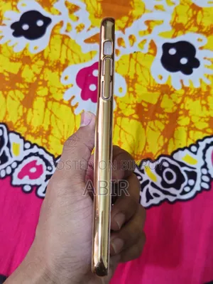 iPhone 11 Pro Max Back Cover
