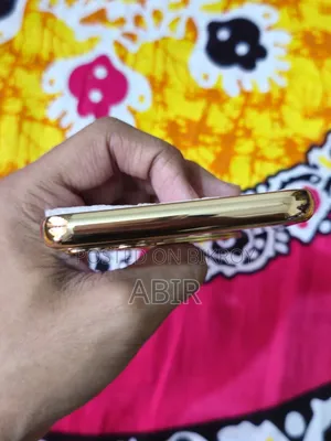 iPhone 11 Pro Max Back Cover