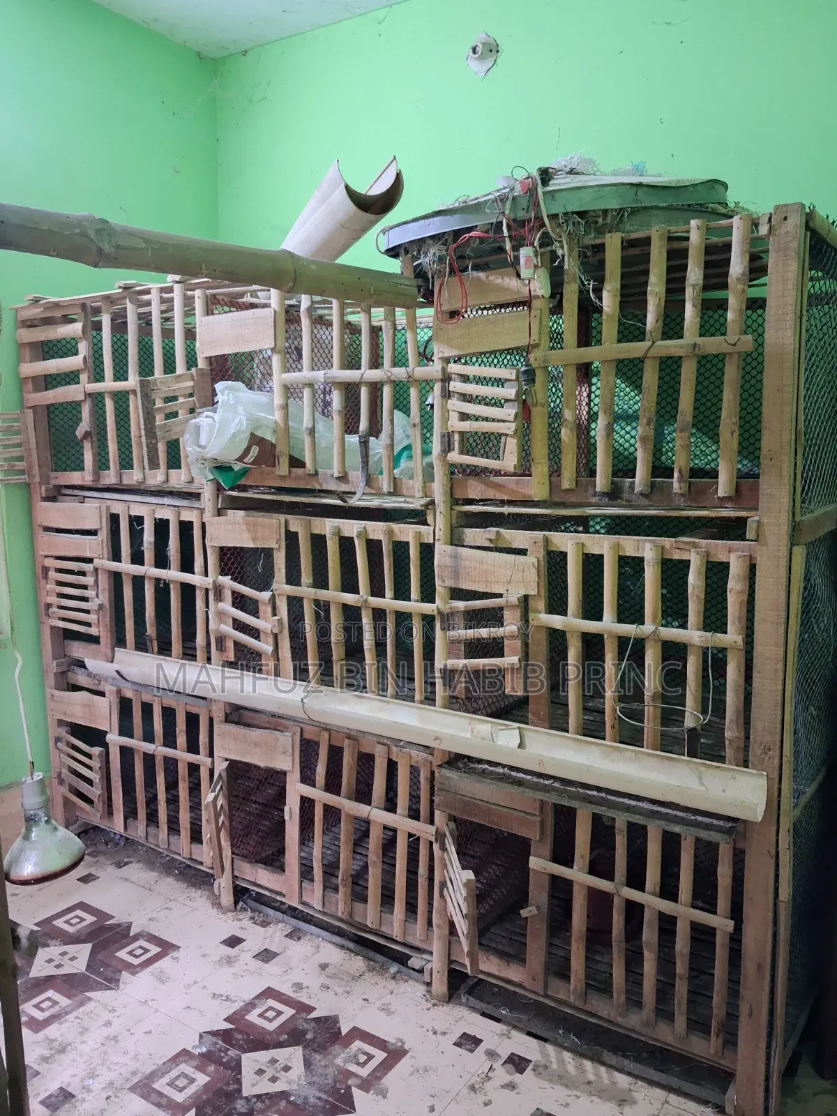 Large cage for raising chickens