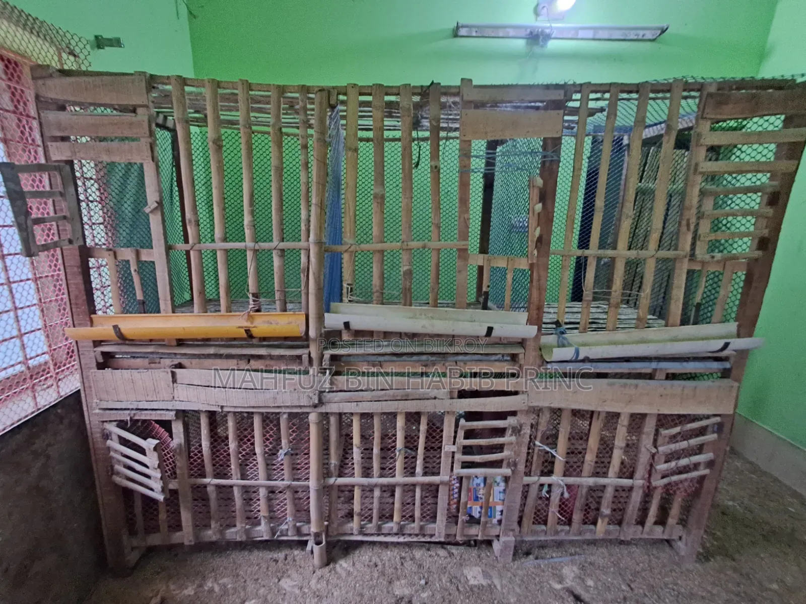 Large cage for raising chickens