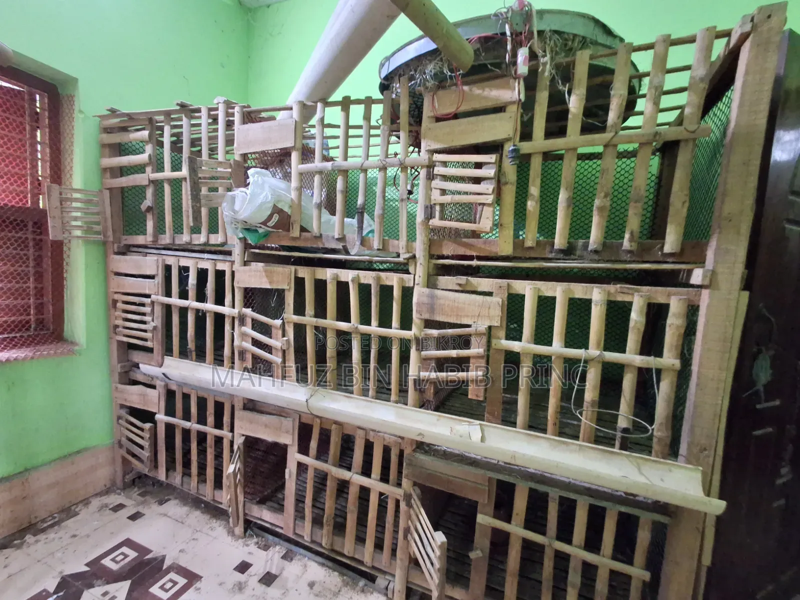 Large cage for raising chickens