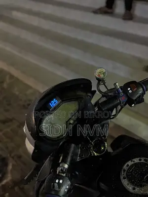 Bajaj Pulsar 150 2009 Blue