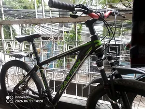 Geared Cycle