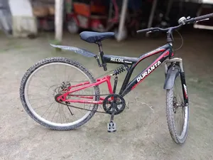 Ranger Bicycle