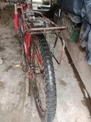 Selling my bicycle because I am moving to my village home