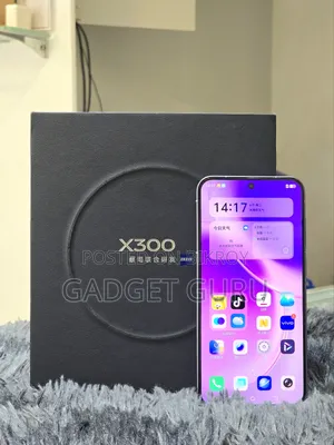 ভিভো এক্স৩০০ ৫১২ জিবি পার্পল
