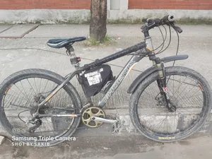 Phoenix Bicycle Urgent Sell.