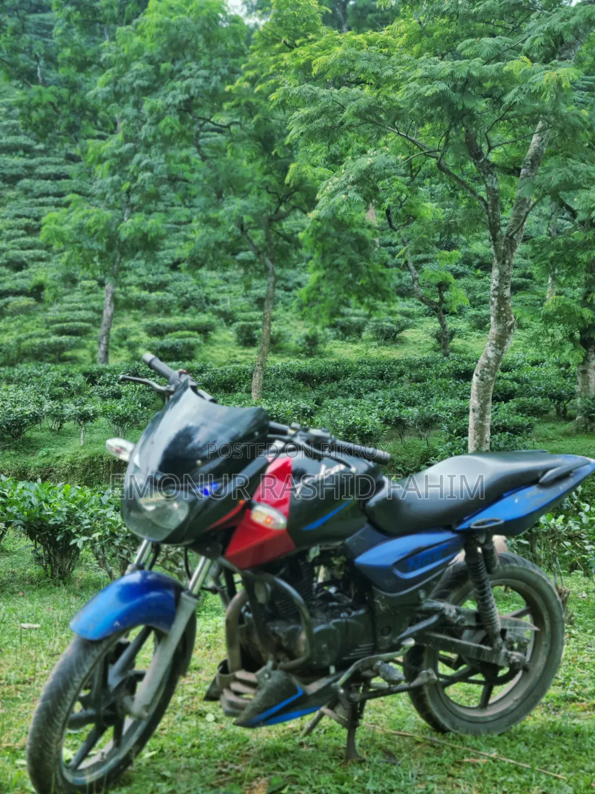 Bajaj Pulsar 150 2004 Blue