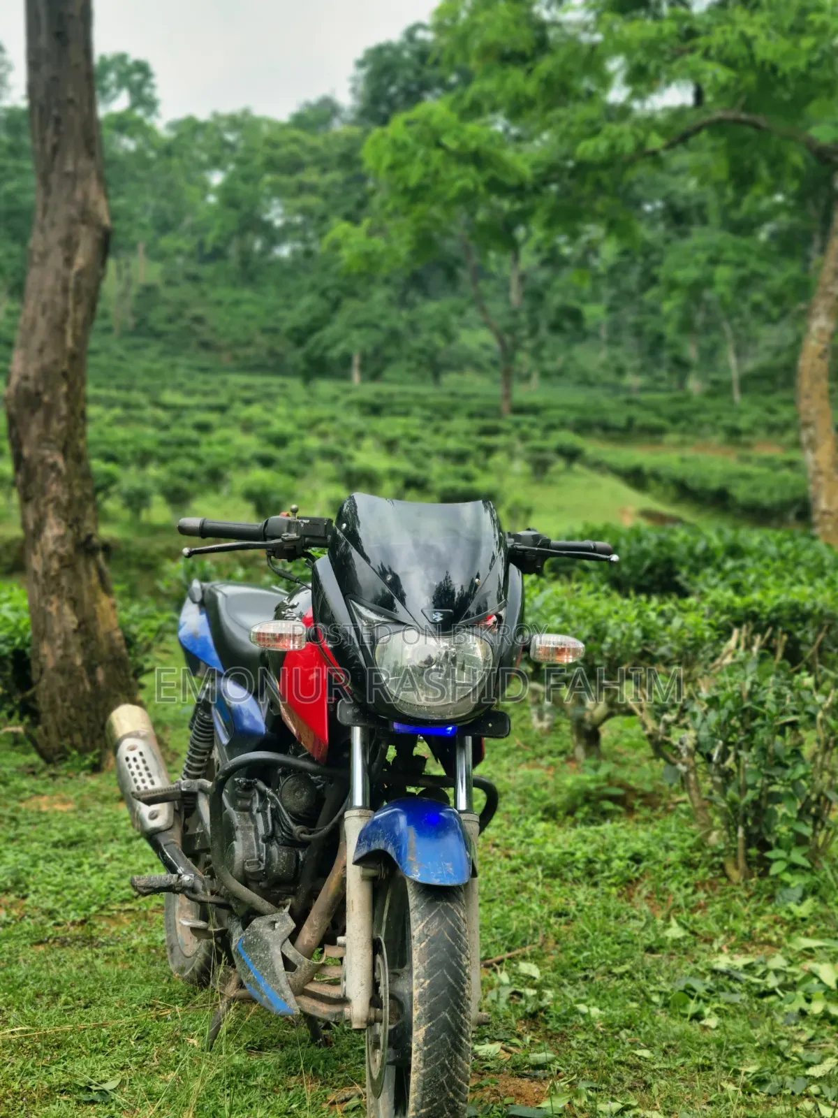 Bajaj Pulsar 150 2004 Blue