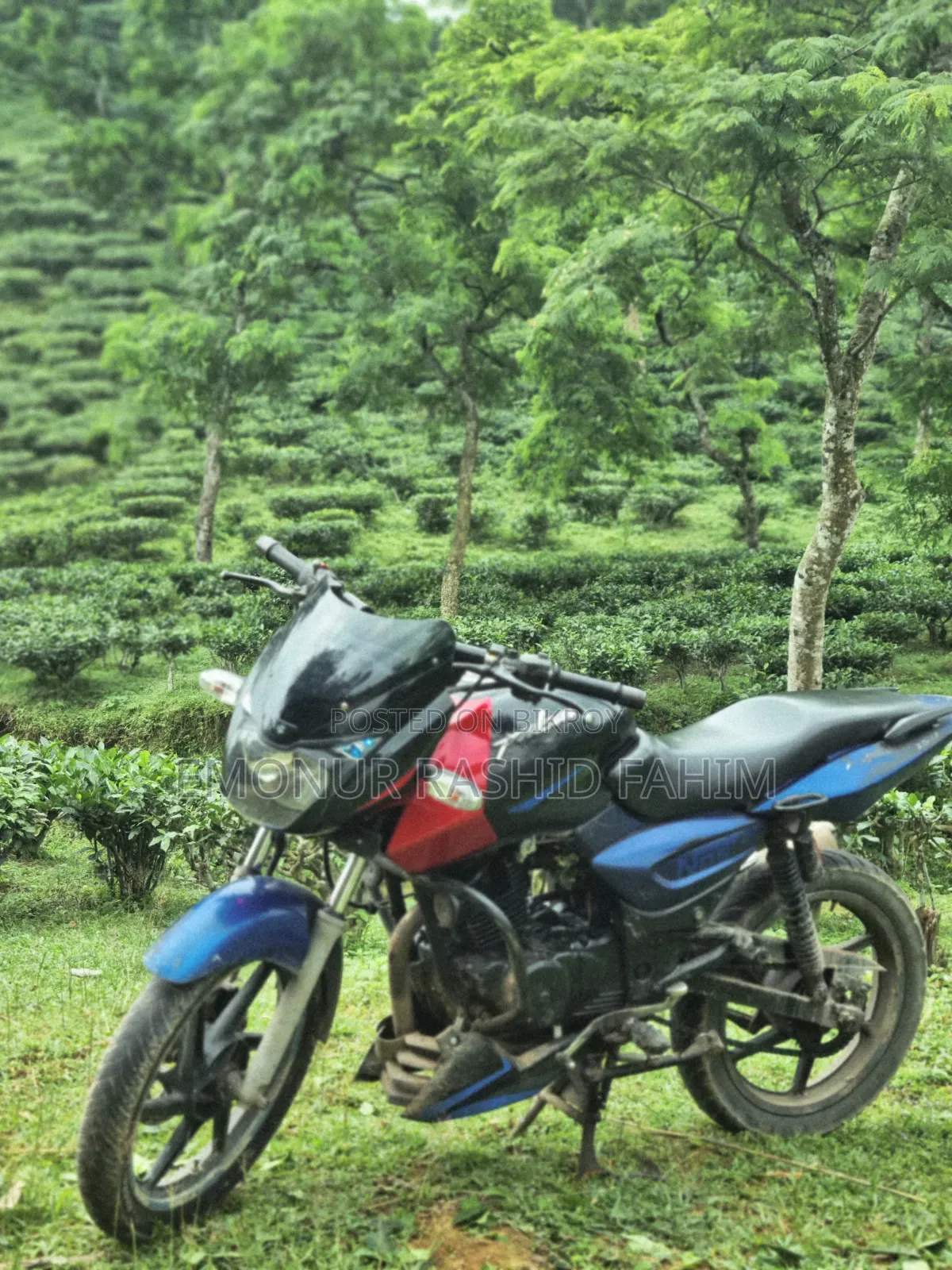 Bajaj Pulsar 150 2004 Blue