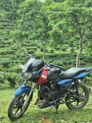 Bajaj Pulsar 150 2004 Blue