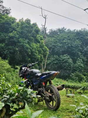 Bajaj Pulsar 150 2004 Blue