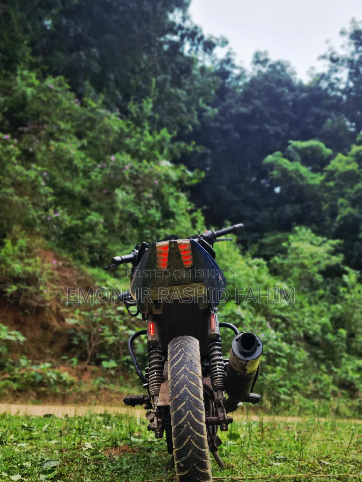Bajaj Pulsar 150 2004 Blue