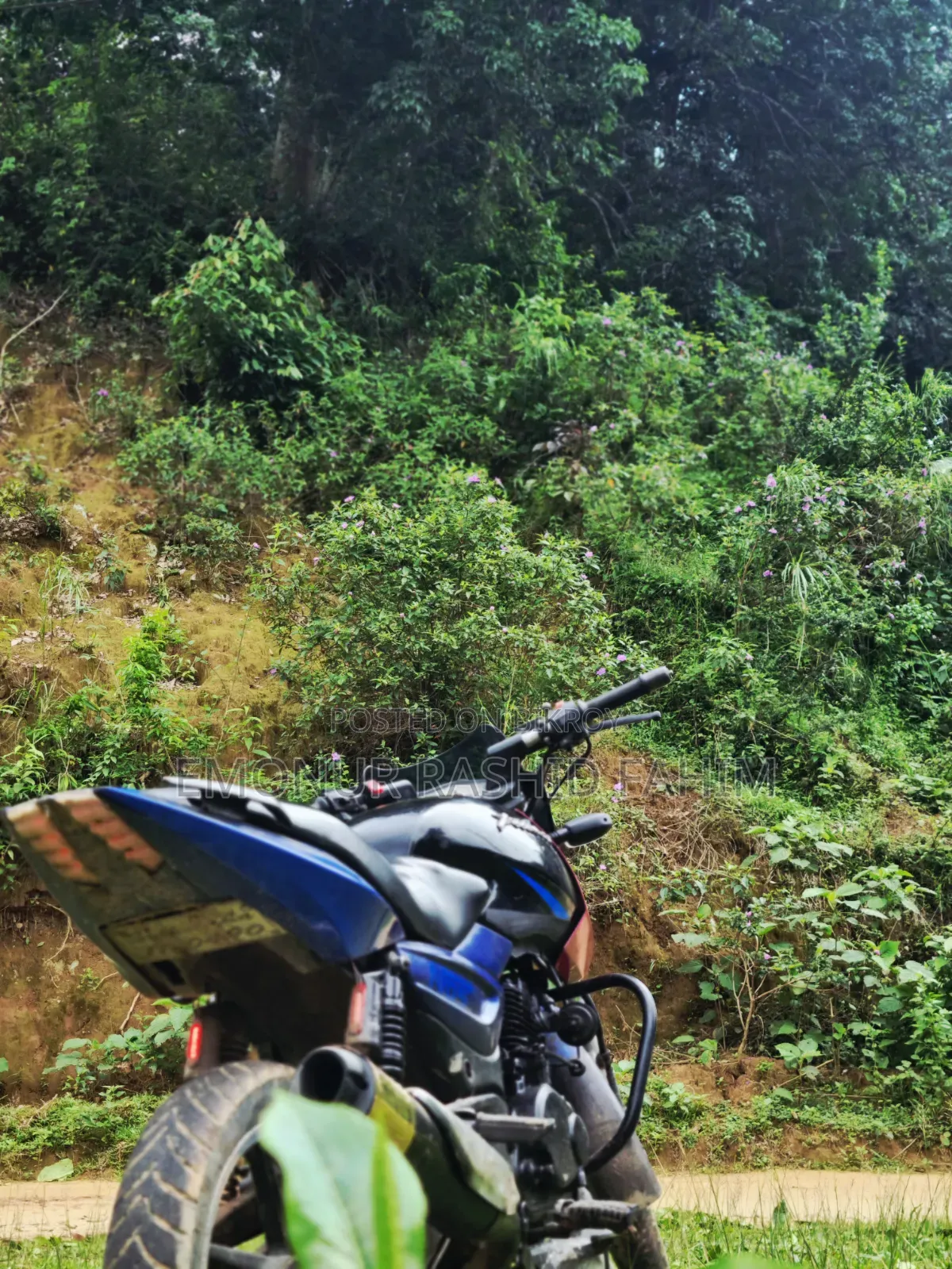 Bajaj Pulsar 150 2004 Blue
