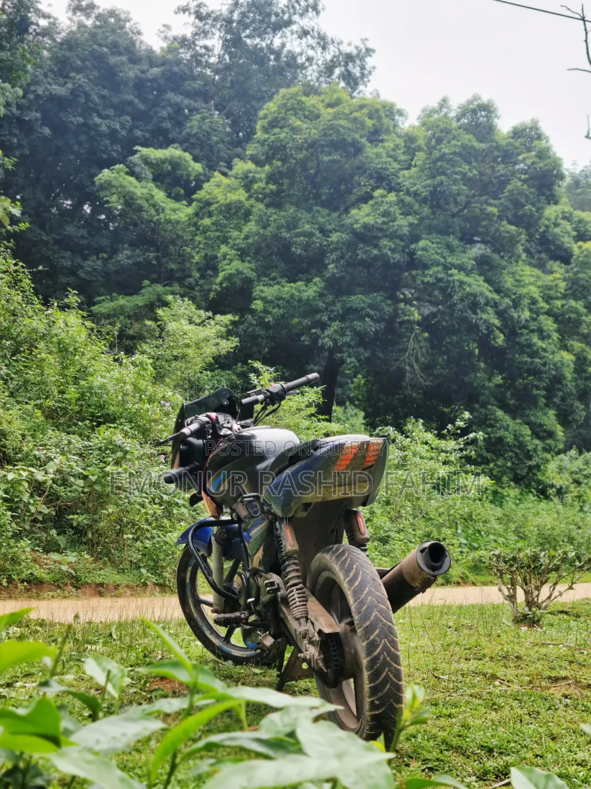 Bajaj Pulsar 150 2004 Blue