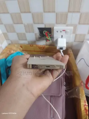 অ্যাপল আইফোন ১৩ প্রো ১২৮ জিবি গোল্ড