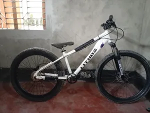 Cycle Frame