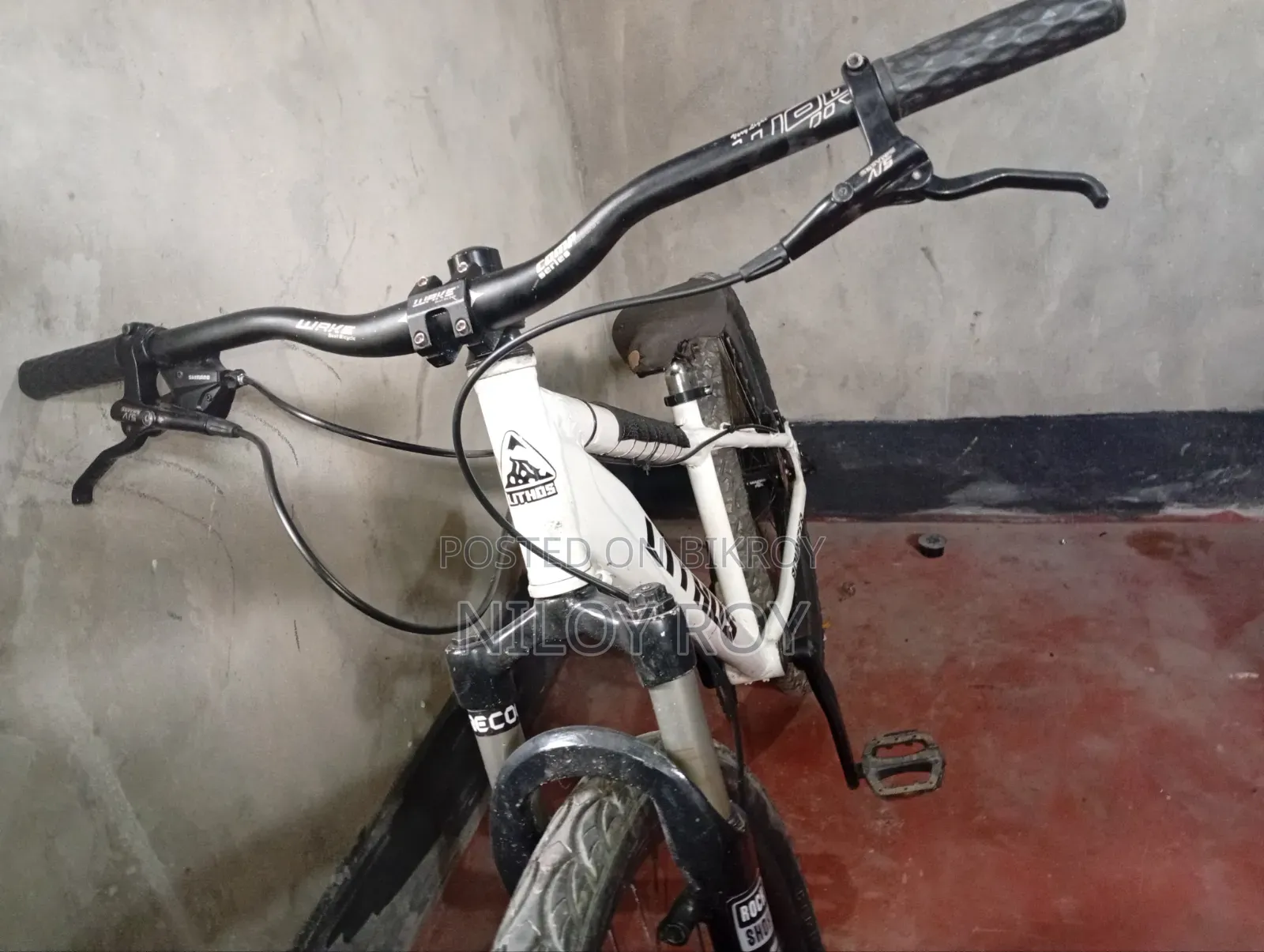 Cycle Frame