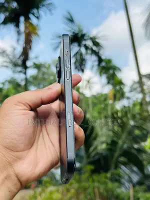 Apple iPhone 15 Plus 256 GB Black