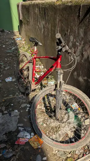 Veloce 602 Original Bicycle