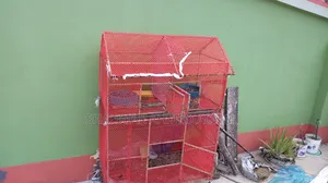 Bird Cage Big Size