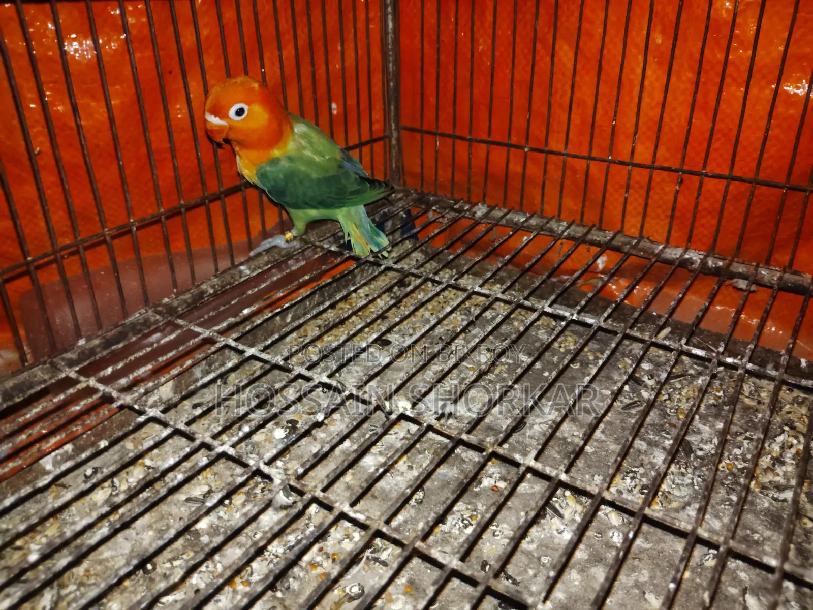 Green Oprline Ispit B1b2 Espit Eno