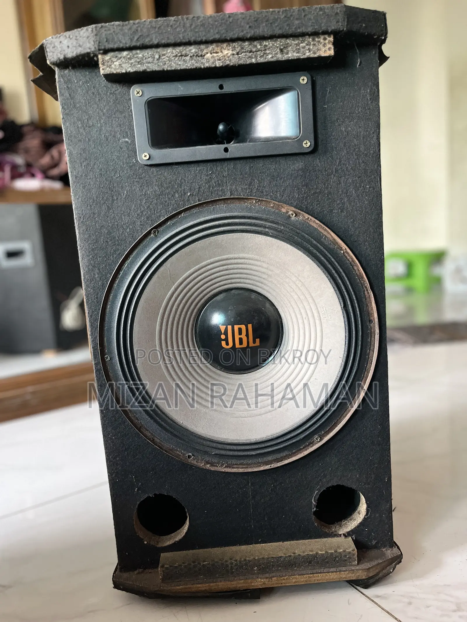 12-inch Speaker (1 piece)