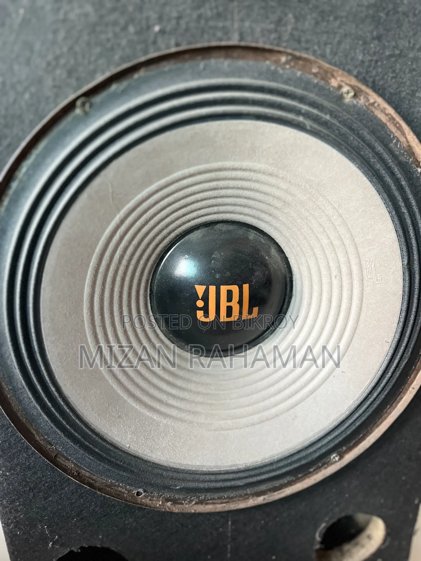 12-inch Speaker (1 piece)