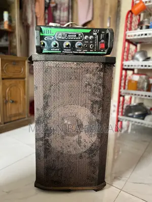 12-inch Speaker (1 piece)