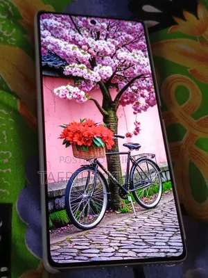 New Infinix Note 50 Pro 256 GB Gray