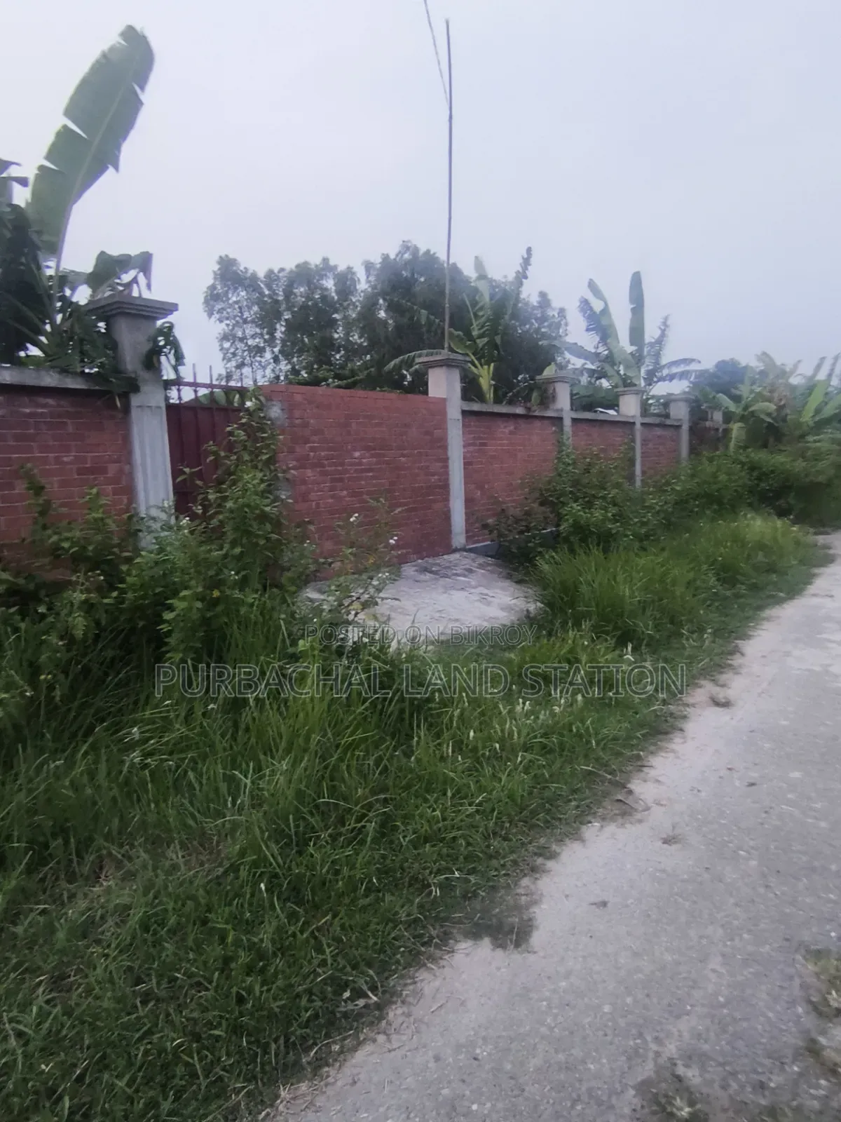 Sector 16, Near Iba Club Excellent 5 Katha Plot Sale in Purbachal.