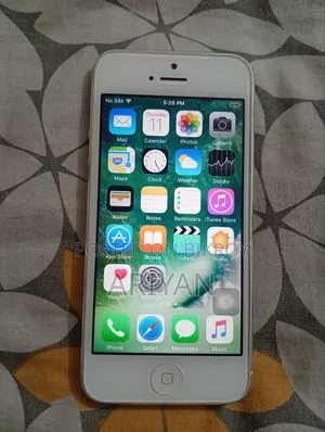 Apple iPhone 5s 32 GB Silver