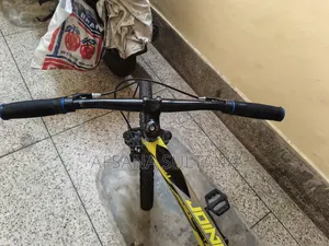 জুনিয়ার বেলস ২৪ সাইজ