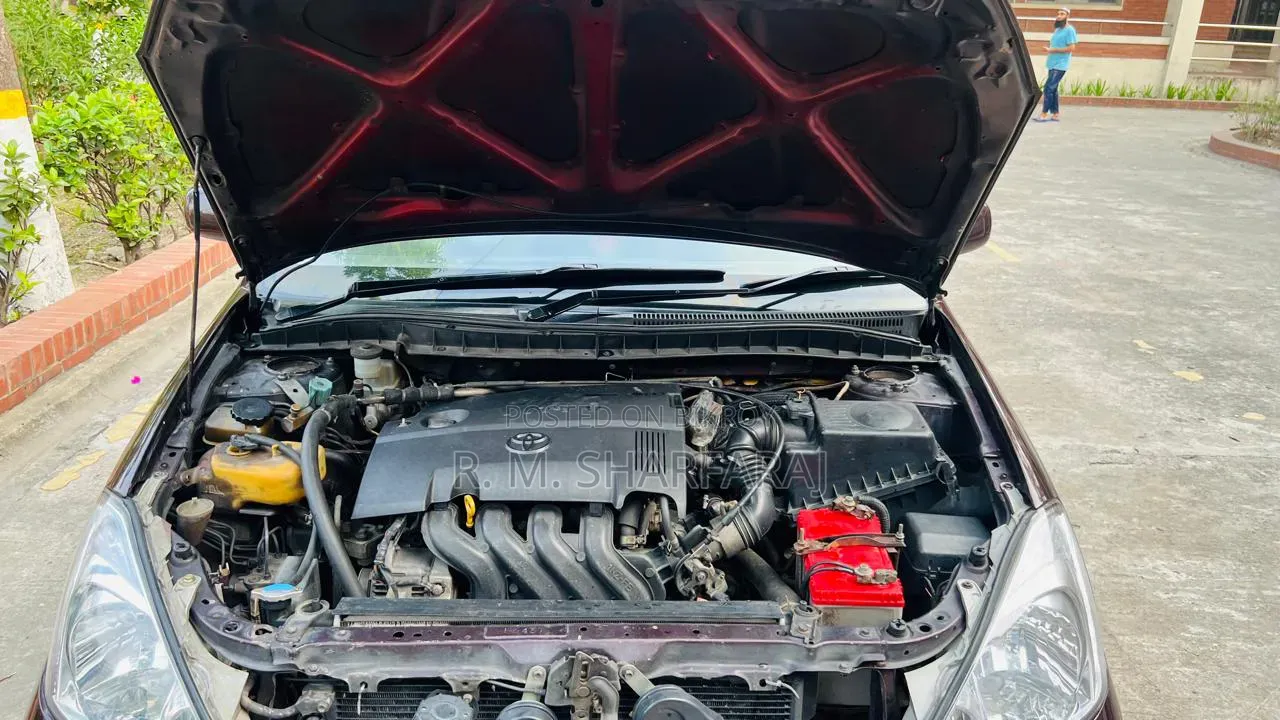 Toyota Corolla 2003 Maroon