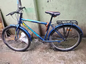 সাইকেলটা কোন সমস্যা নাই নেবেন আর চালাবেন